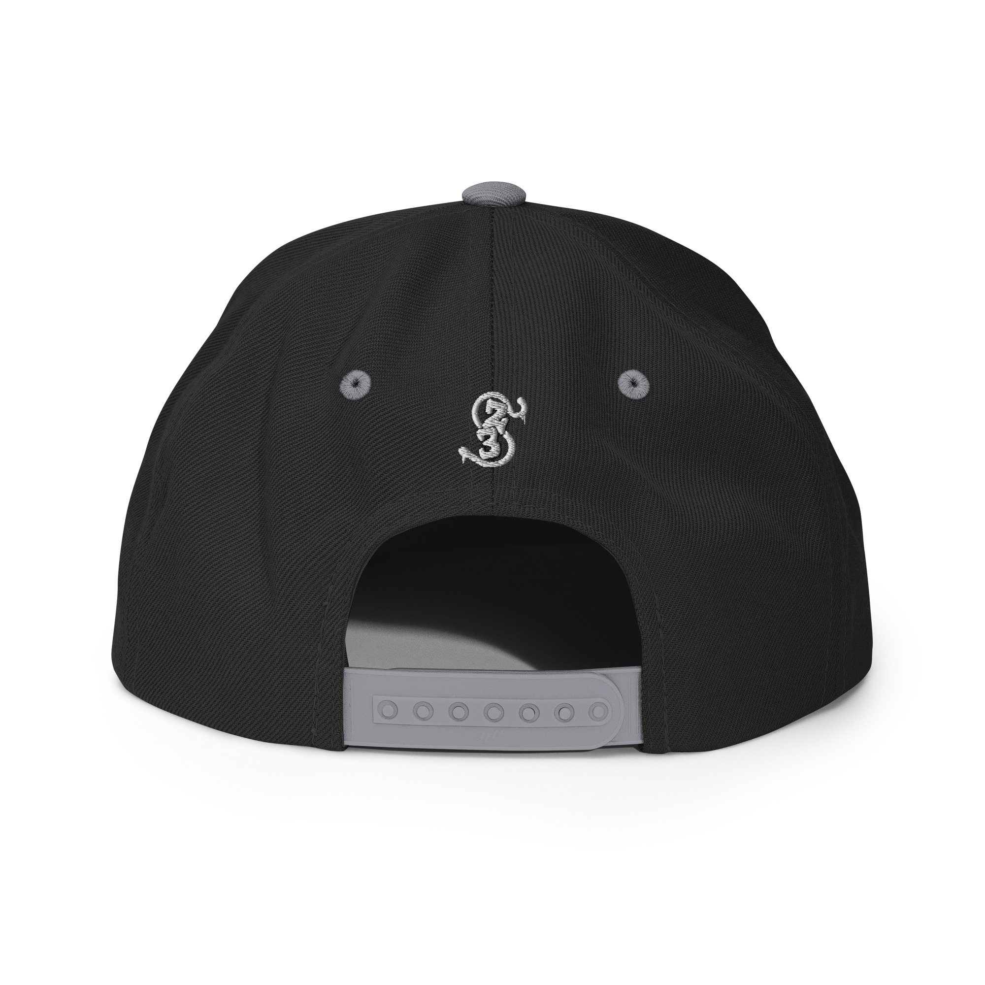 Snapback Hat- Classic Logo - Image 9