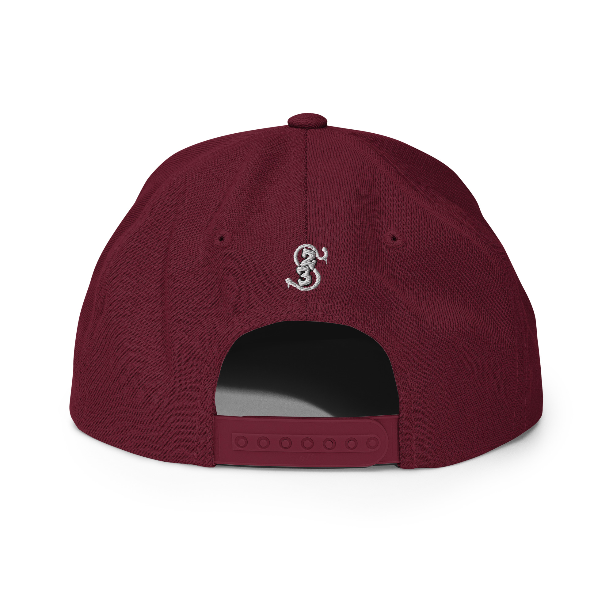 Snapback Hat- Classic Logo - Image 11