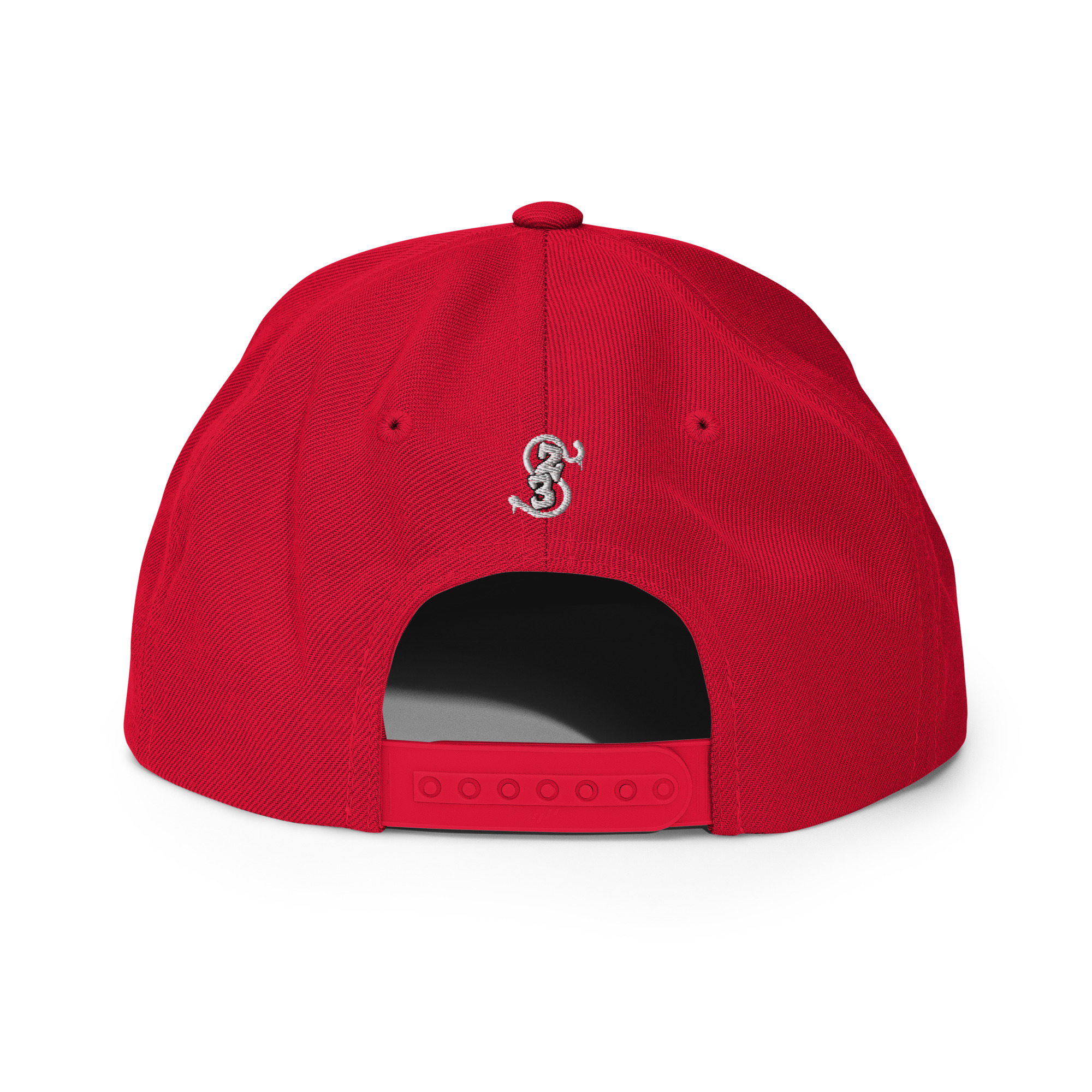 Snapback Hat- Classic Logo - Image 13
